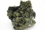 Lustrous, Epidote Crystal Cluster on Actinolite - Pakistan #213443-2